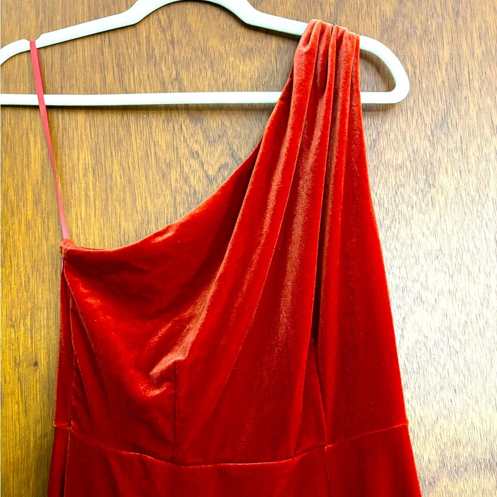 Burnt Orange Birdy Grey Velvet One-Shoulder Dress